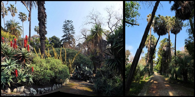 Botanical gardens.jpg